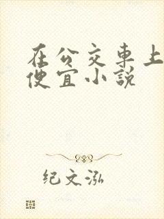 在公交车上被占便宜小说