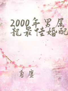 2000年男属龙最佳婚配属相