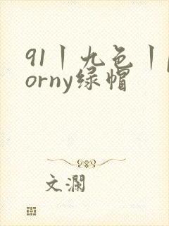 91丨九色丨porny绿帽