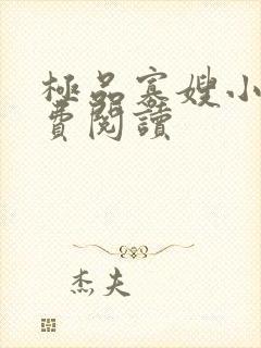 极品寡嫂小说免费阅读