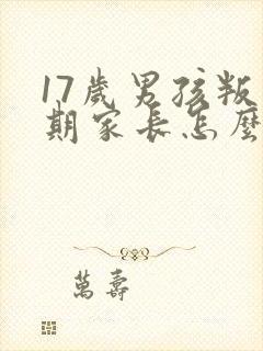 17岁男孩叛逆期家长怎么办