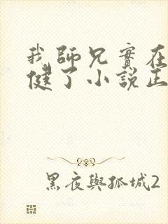 我师兄实在太稳健了小说正版