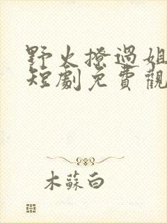 野火撩过姐姐心短剧免费观看全集