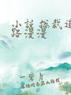 小说 总裁追妻路漫漫