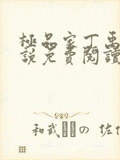 极品家丁禹岩小说免费阅读全文无删减