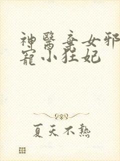 神医弃女邪王嗜宠小狂妃