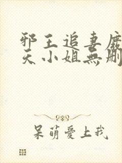 邪王追妻废材逆天小姐无删减