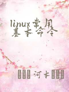 linux常用基本命令