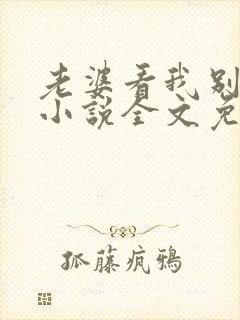老婆看我别看他小说全文免费阅读