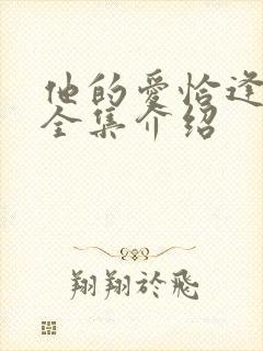 他的爱恰逢其时全集介绍