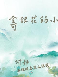 金银花的小说姜可