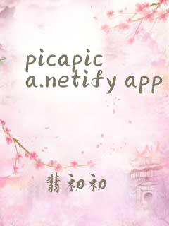 picapica.netify app