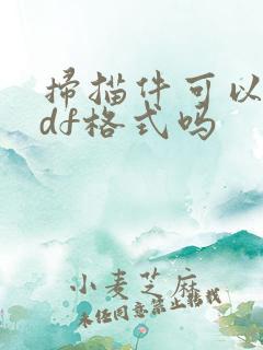 扫描件可以是pdf格式吗