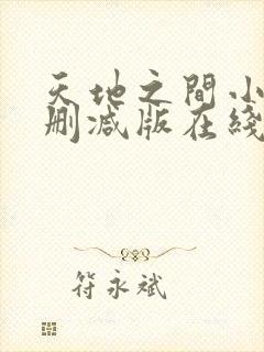 天地之间小说无删减版在线阅读