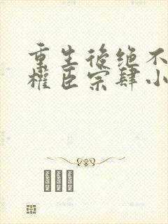 重生后绝不嫁给权臣宗肆小说阅读