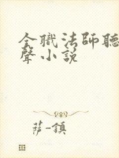 全职法师听书有声小说