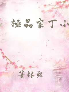 极品家丁小说