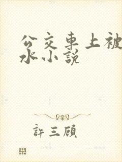 公交车上被蹭出水小说