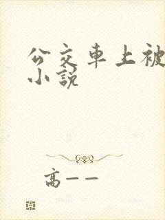 公交车上被插入小说