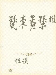 孙亮是孙权的第几个儿子