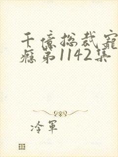 千亿总裁宠妻上瘾第1142集
