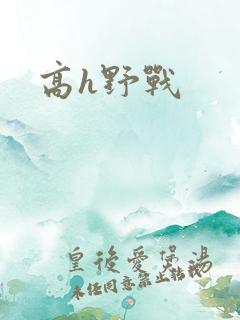 高h野战