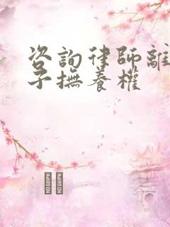 咨询律师离婚孩子抚养权