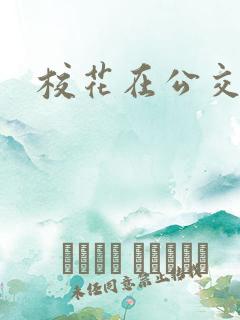 校花在公交车