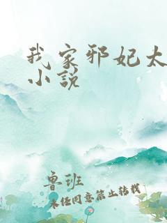 我家邪妃太嚣张小说