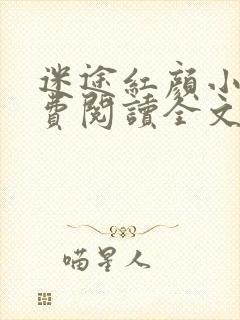 迷途红颜小说免费阅读全文