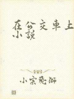 在公交车上被搞小说