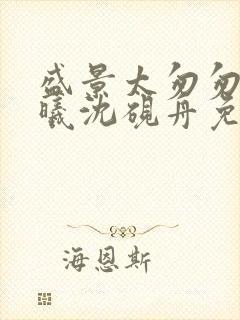 盛景太匆匆宁若曦沈砚舟免费阅读