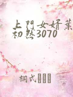 上门女婿叶辰萧初然3070