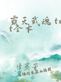 霸天武魂 txt全本