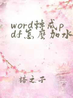 word转成pdf怎么加水印