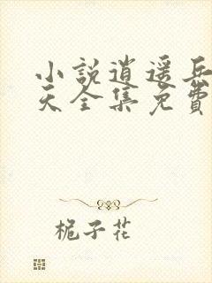 小说逍遥兵王洛天全集免费阅读