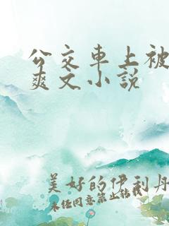 公交车上被强上爽文小说