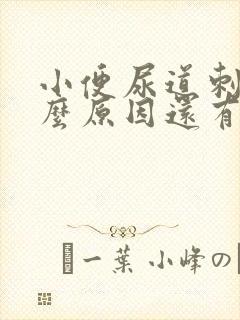 小便尿道刺痛什么原因还有血
