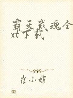 霸天武魂全文txt下载