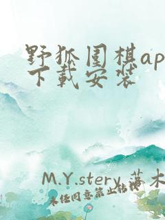 野狐围棋app下载安装