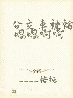 公交车被轮啊啊 嗯嗯啊啊