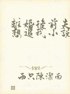 离婚后前夫总是想追我小说免费下载