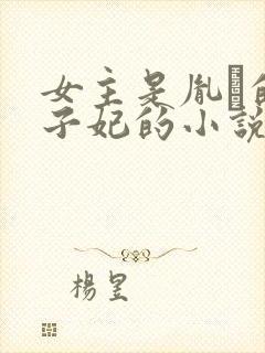 女主是胤礽的太子妃的小说