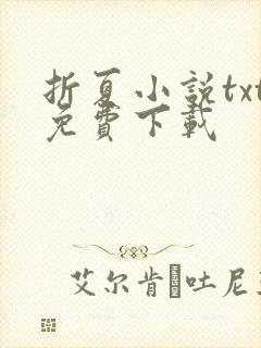 折夏小说txt免费下载