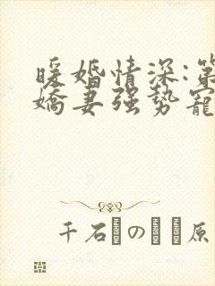 暖婚情深:第一娇妻强势宠