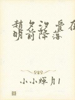 赵夕汐 爱在黎明前降落