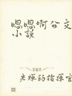 嗯嗯啊公交车上小说