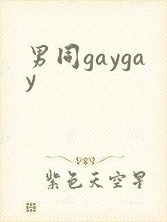 男同gaygay