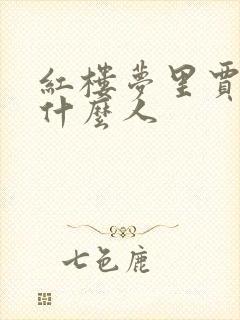 红楼梦里贾玠是什么人