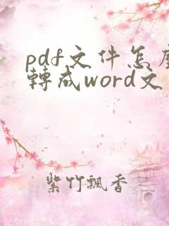 pdf文件怎么转成word文件
